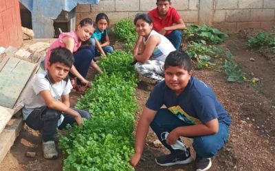 Huertos pedagógicos refuerzan la educación y seguridad alimentaria en Zacapa