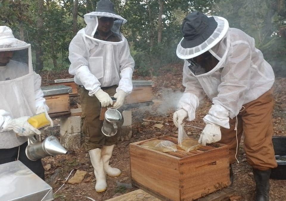 Capacitación en manejo y alimentación de colmenas a apicultores